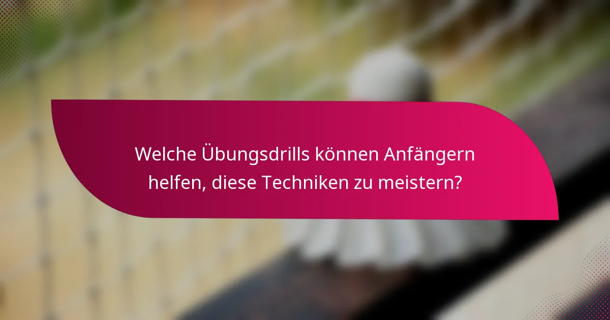 Welche Übungsdrills können Anfängern helfen, diese Techniken zu meistern?
